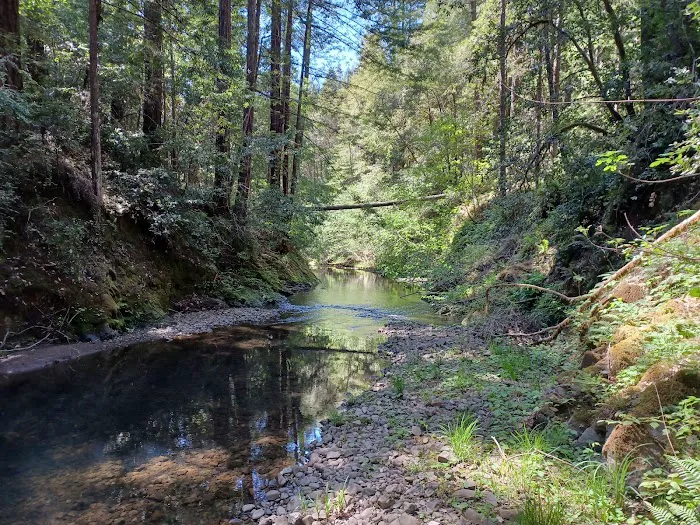 Big River Campground Picture 9