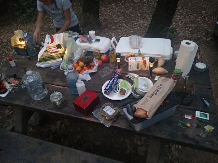 Big River Campground Picture 4