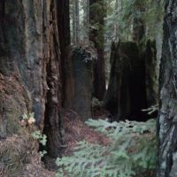 Big River Campground ico