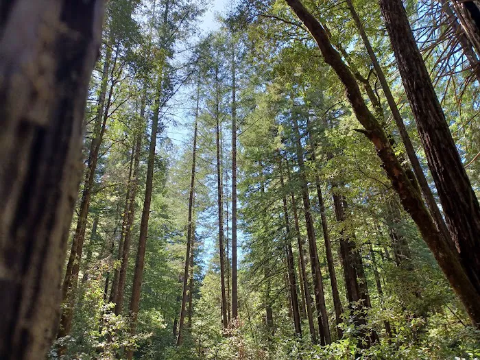 Big River Campground Picture 6