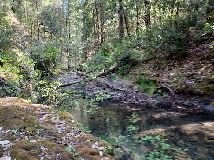 Big River Campground Picture 3