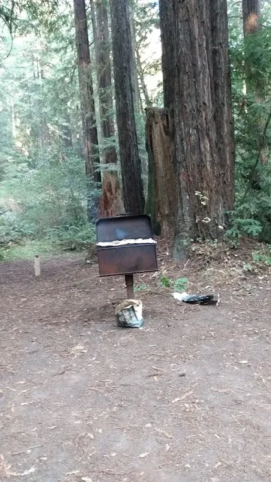 Big River Campground Picture 5