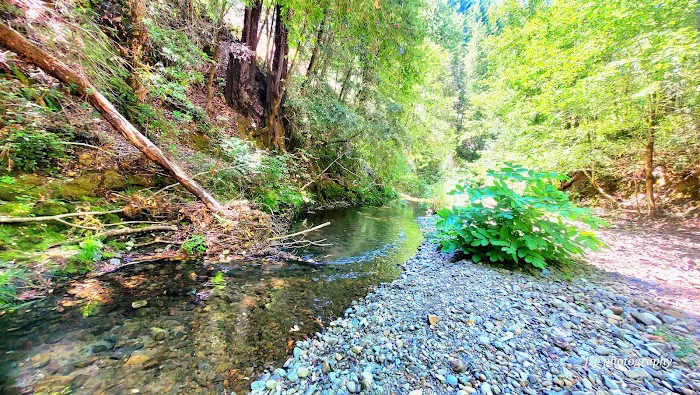 Dunlap Campground Picture 6