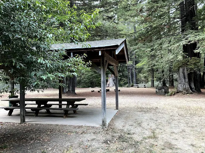 Camp One, Jackson State Demonstration Forest Picture 2