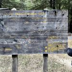 Camp One, Jackson State Demonstration Forest