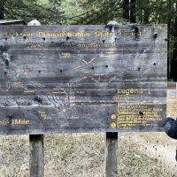 Camp One, Jackson State Demonstration Forest ico