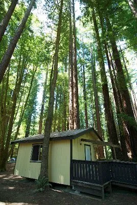 Camp Navarro Picture 1