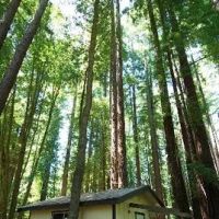 Camp Navarro ico