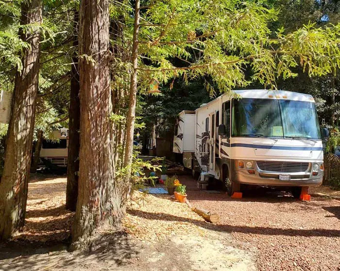Wildwood Campground & RV Resort Picture 7