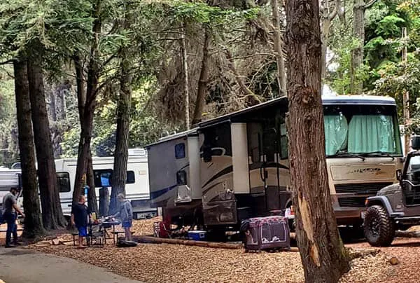 Wildwood Campground & RV Resort Picture 2