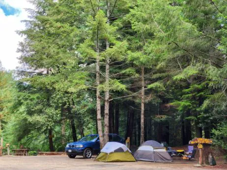 Wildwood Campground & RV Resort Picture 1