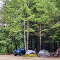 Wildwood Campground & RV Resort ico