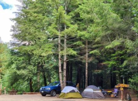 Wildwood Campground & RV Resort