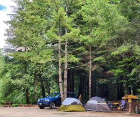 Wildwood Campground & RV Resort