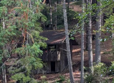 Mendocino Woodlands Camp Association
