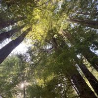 Paul Dimmick Campground ico