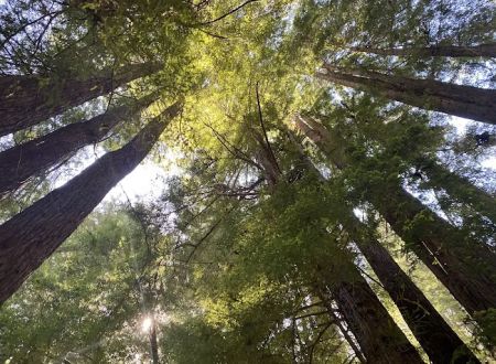 Paul Dimmick Campground