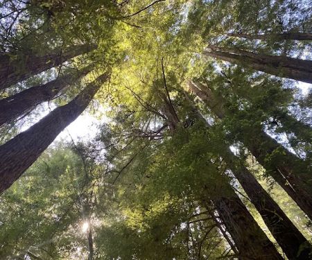 Paul Dimmick Campground