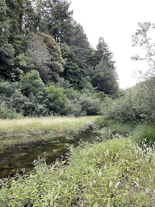 Paul Dimmick Campground Picture 10