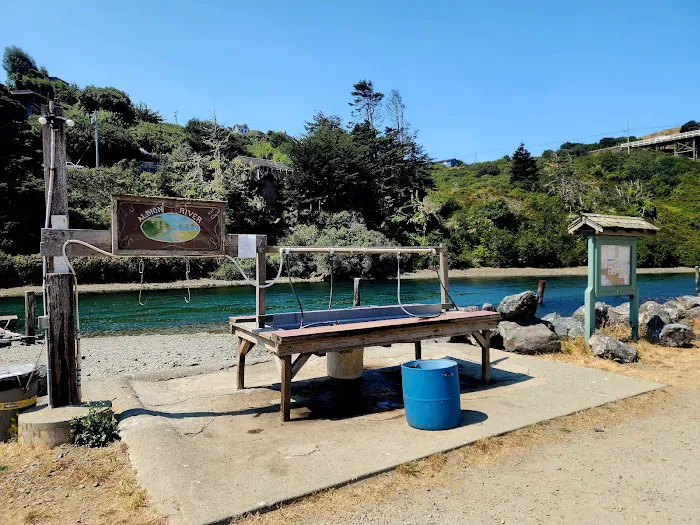 Albion River Campground Picture 6