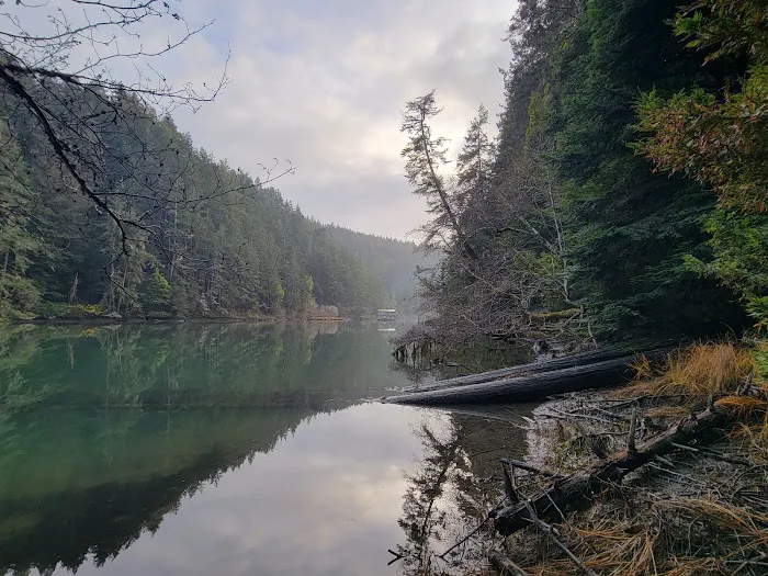 Albion River Campground Picture 5