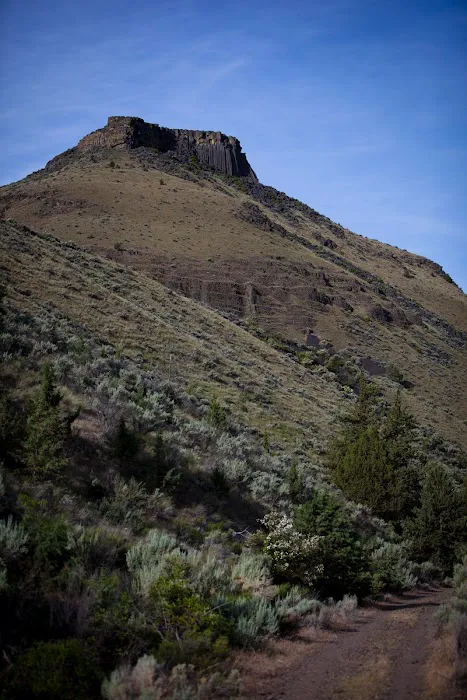 Trout Creek Campground. Picture 3