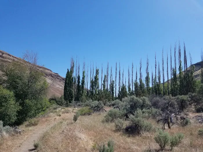 Dry Creek Campground Picture 4