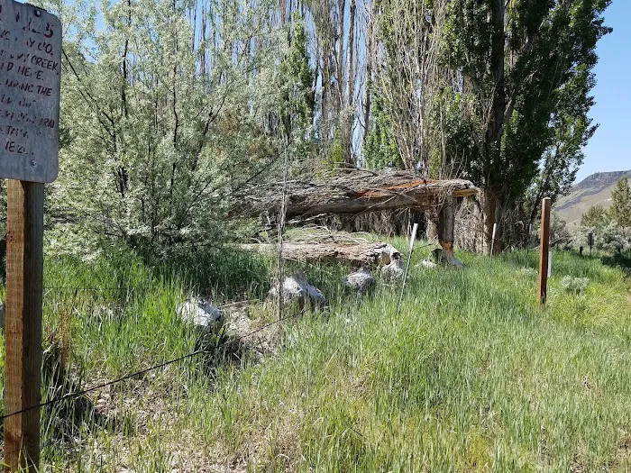 Dry Creek Campground Picture 7