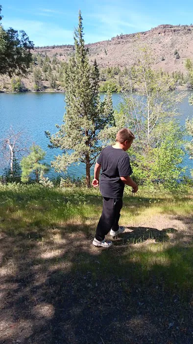 Antelope RV Park Picture 3