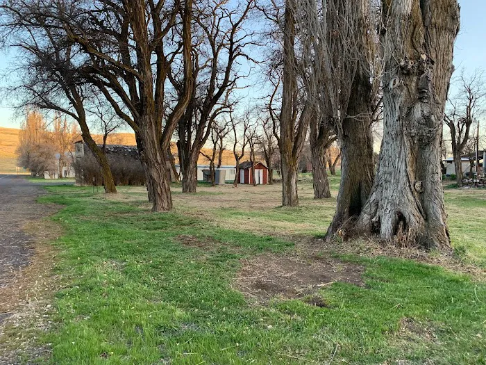 Antelope RV Park Picture 9