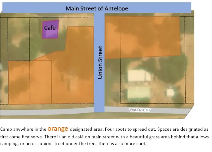 Antelope Market Picture 6