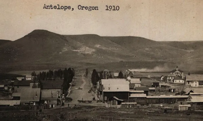 Antelope Market Picture 3