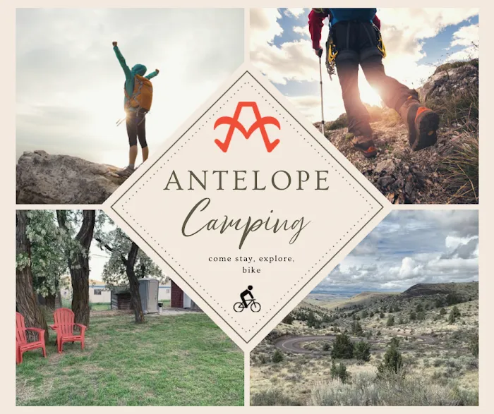 Antelope Market Picture 10