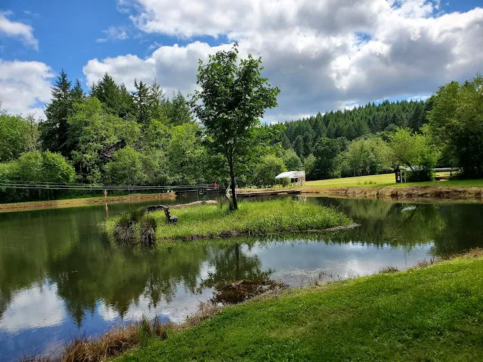 Camp Alpine Picture 1