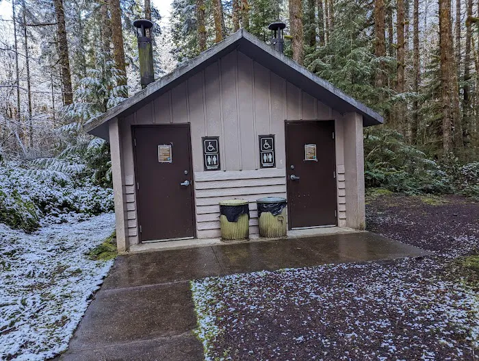 Alsea Falls Campground Picture 1