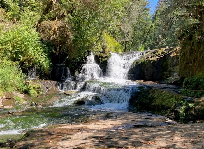 Alsea Falls Campground Picture 2