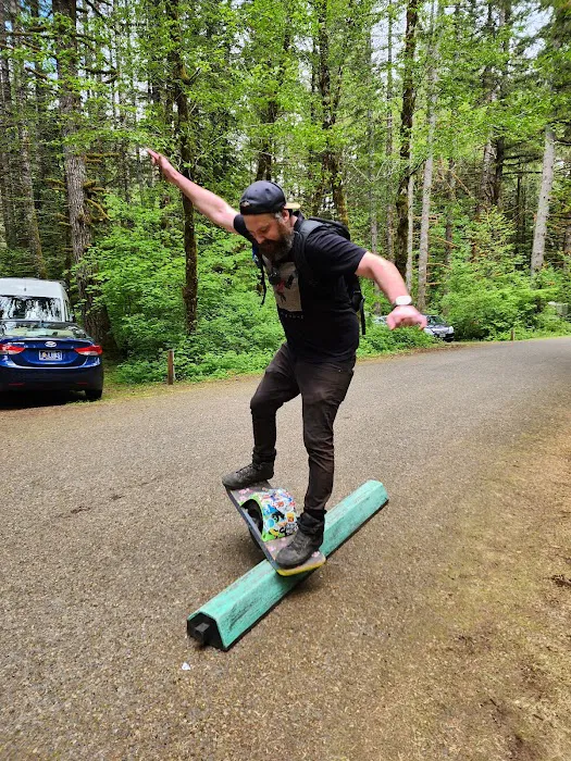 Alsea Falls Campground Picture 4