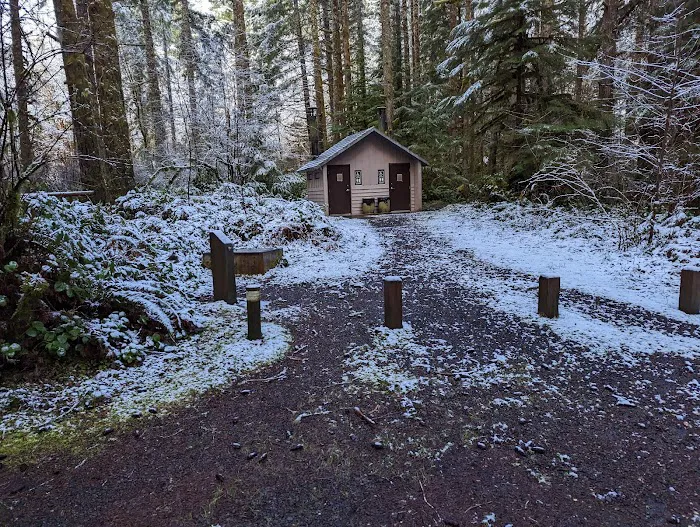 Alsea Falls Campground Picture 7
