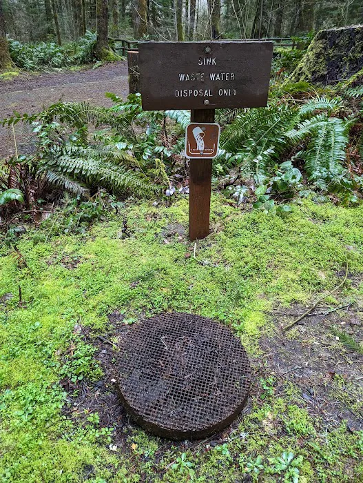 Alsea Falls Campground Picture 8