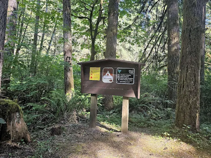 Alsea Falls Campground Picture 9