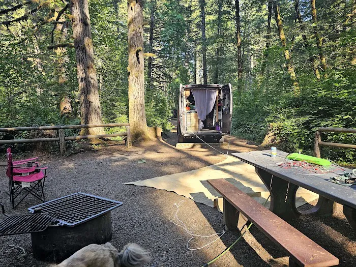 Alsea Falls Campground Picture 10