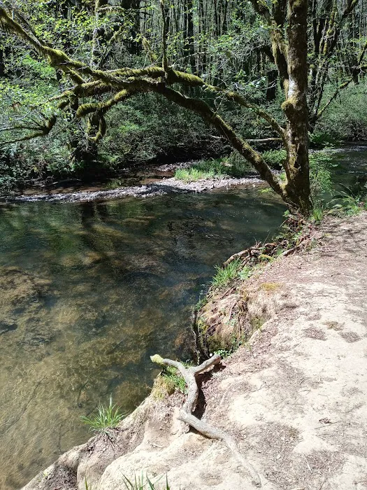 Hubert K McBee Memorial Campground Picture 2