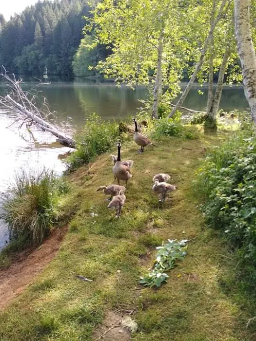 Upper Lake Creek Picture 6
