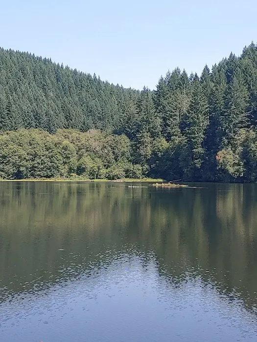 Upper Lake Creek Picture 8