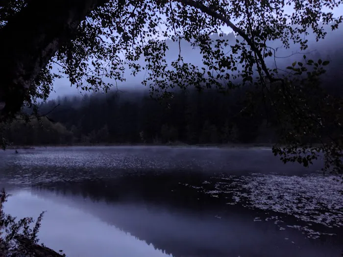 Upper Lake Creek Picture 1