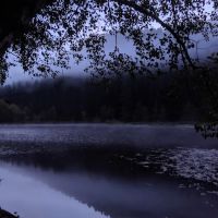 Upper Lake Creek ico