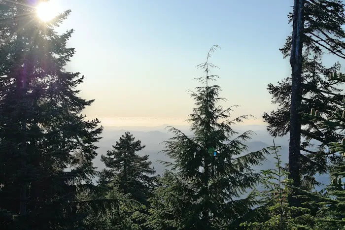 Marys Peak Campground Picture 6