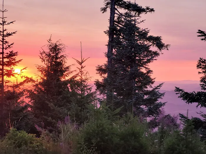 Marys Peak Campground Picture 10