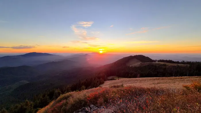 Marys Peak Campground Picture 4
