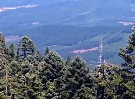 Marys Peak Campground